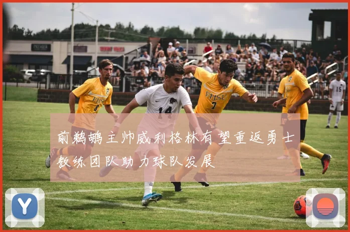 前鹈鹕主帅威利格林有望重返勇士教练团队助力球队发展