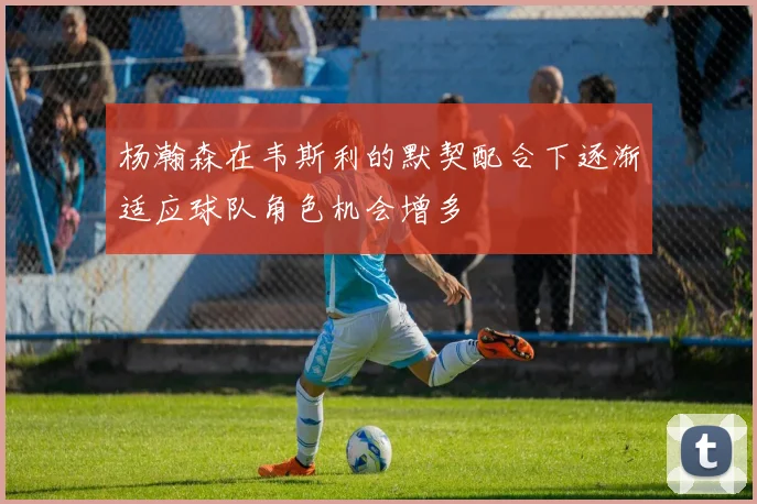杨瀚森在韦斯利的默契配合下逐渐适应球队角色机会增多