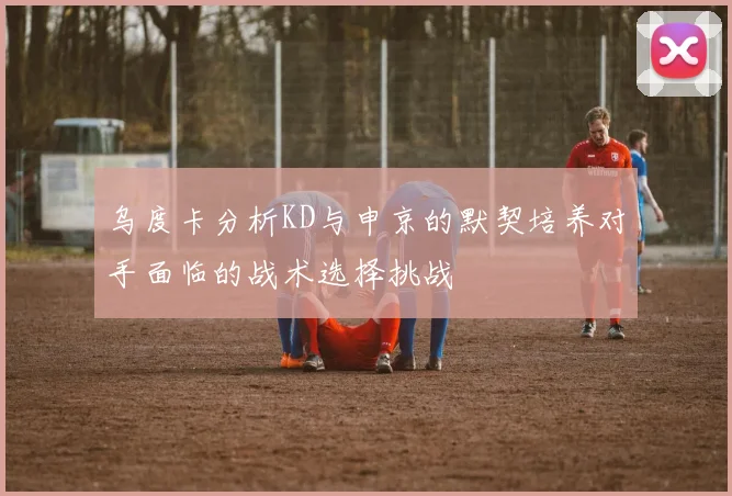 乌度卡分析KD与申京的默契培养对手面临的战术选择挑战