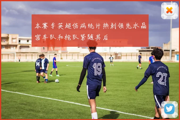 本赛季英超伤病统计热刺领先水晶宫车队和枪队紧随其后